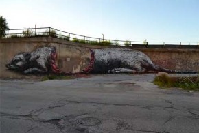 ROA PR