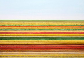 11081298_10155312022760398_6985151022980183696_n